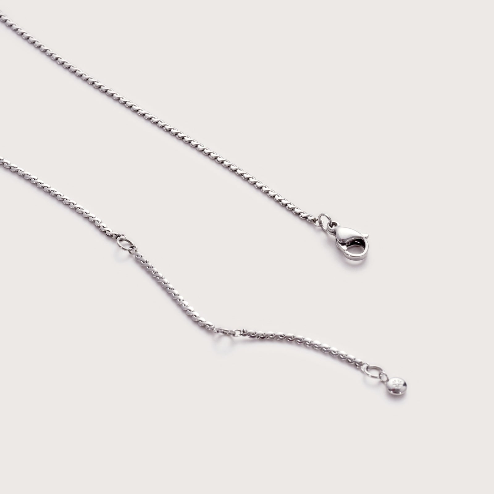 Silver Chain Necklace on model