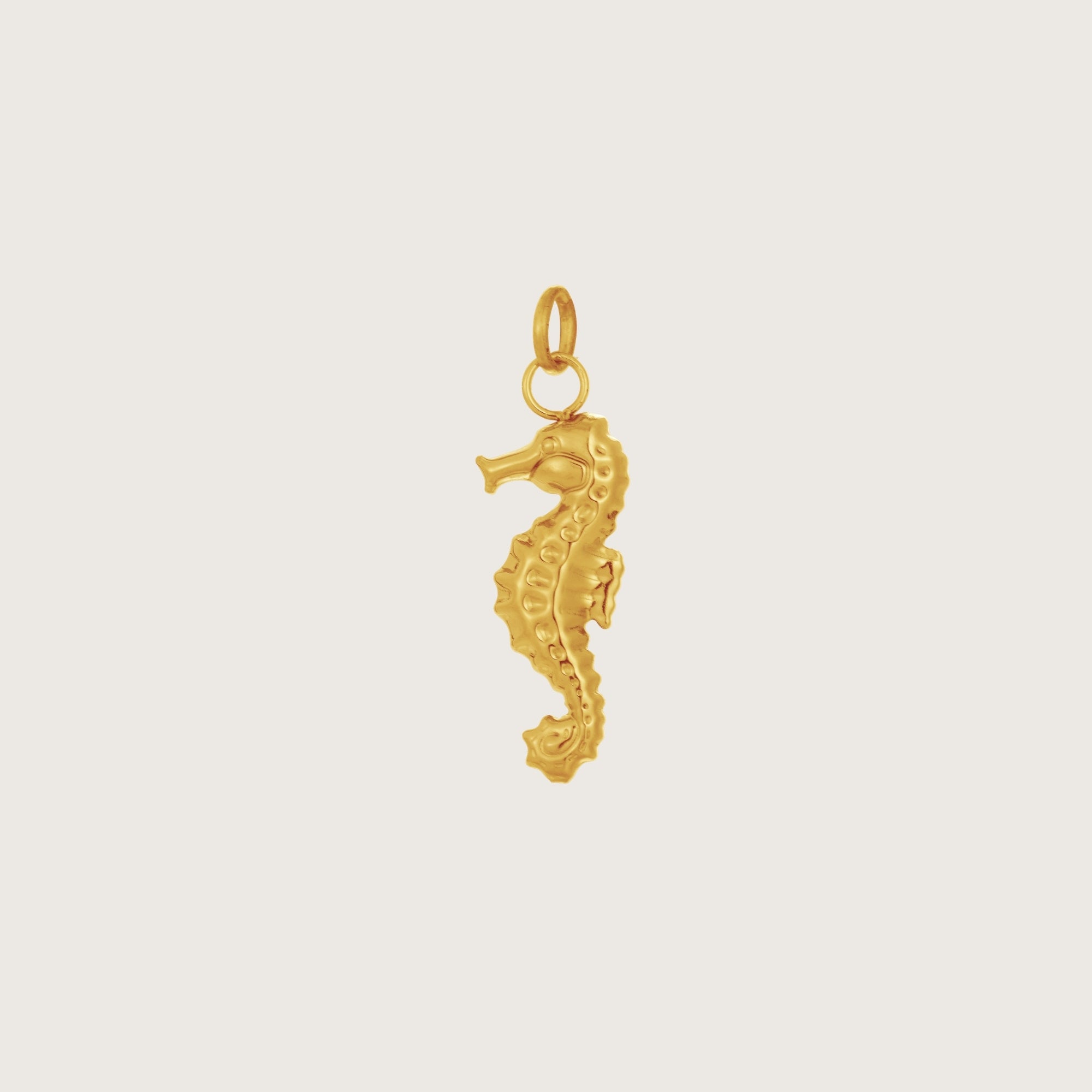 Gold Seahorse Necklace Charm