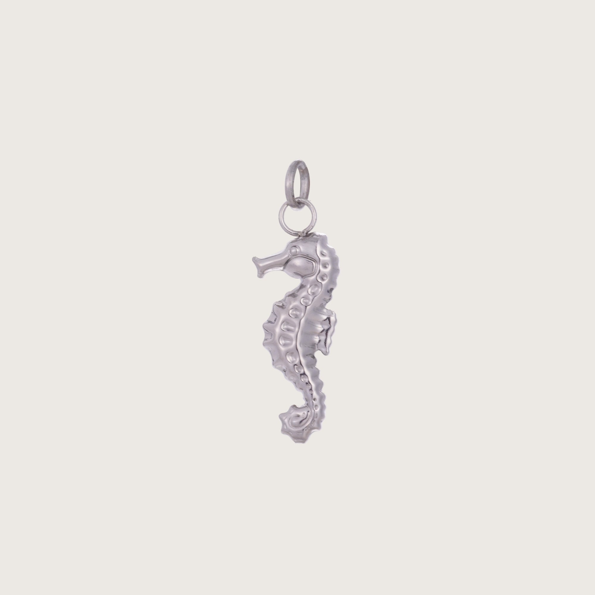 Silver Seahorse Necklace Charm