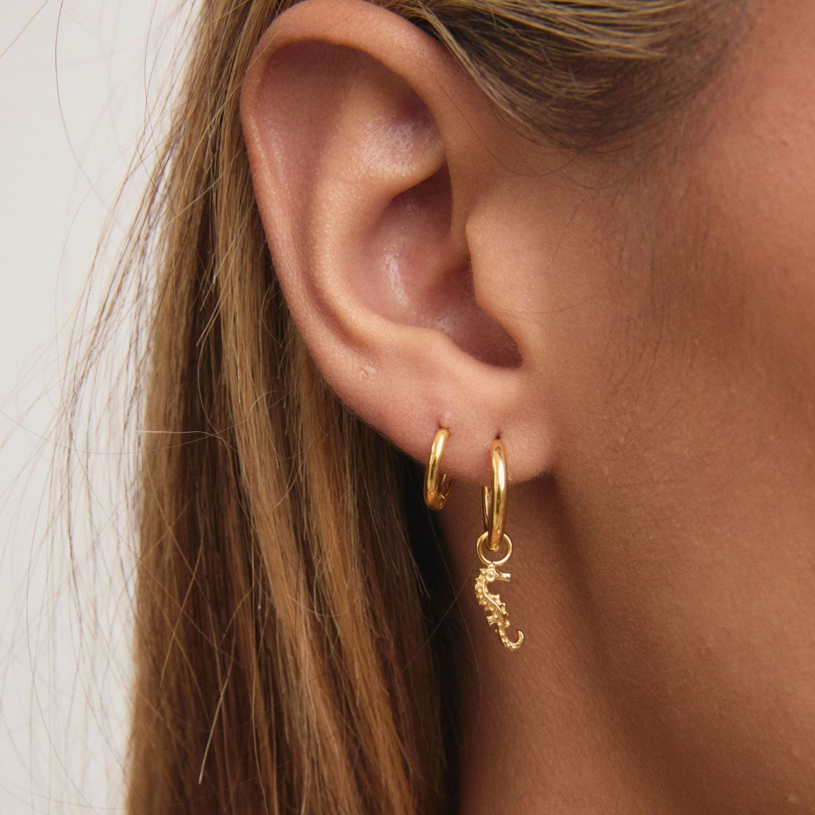 Gold Seahorse Charm Huggies