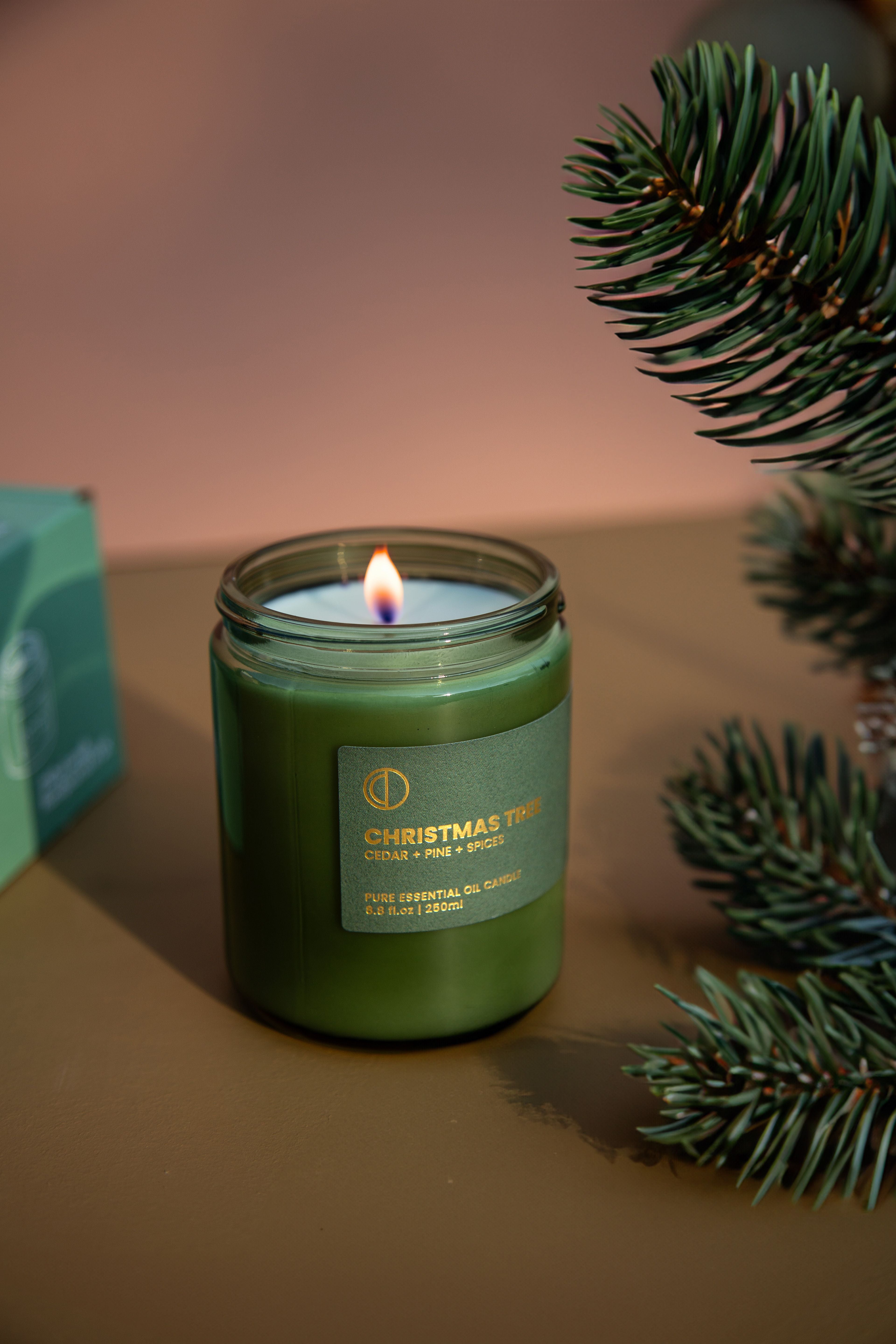 Christmas Tree 250ml Candle | Cedar + Pine + Spices